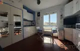 Miniature 7