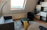 Miniature 0