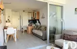 Miniature 8