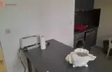 Miniature 4