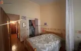 Miniature 5
