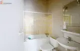 Miniature 4