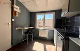 Miniature 14