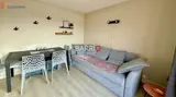 Miniature 5