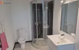 Miniature 4