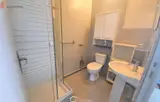 Miniature 5