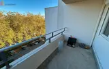 Miniature 7