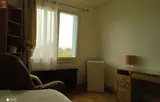 Miniature 0