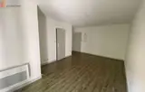 Miniature 13