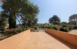 Miniature 5