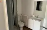Miniature 3
