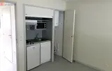 Miniature 3