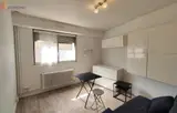 Miniature 3
