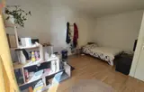 Miniature 8