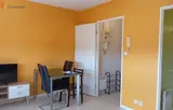 Miniature 5