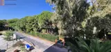 Miniature 5