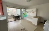Miniature 4