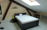 Miniature 5