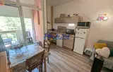Miniature 0