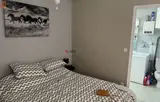 Miniature 4