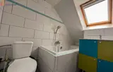 Miniature 3