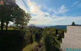 Miniature 10