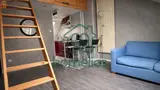Miniature 0