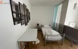 Miniature 10