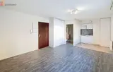 Miniature 13