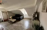 Miniature 0