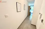 Miniature 8