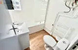 Miniature 4