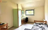 Miniature 3