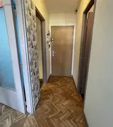 Miniature 3