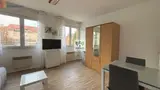 Miniature 4