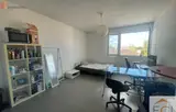 Miniature 0