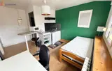 Miniature 3
