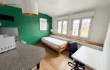 Miniature 0