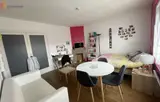 Miniature 4