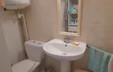 Miniature 5