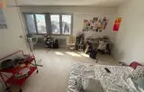 Miniature 0