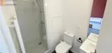 Miniature 10