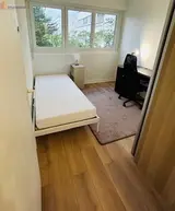 Miniature 5
