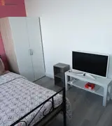 Miniature 4