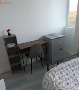 Miniature 3
