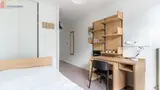 Miniature 3