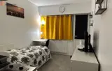 Miniature 0