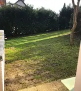 Miniature 8
