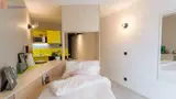 Miniature 8