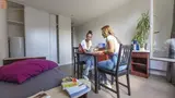 Miniature 5